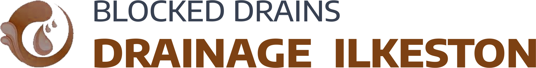 website logo